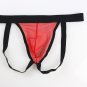 Mens Transparent Triangle Briefs Shorts Pouch Soft Underwear