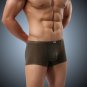Men Sexy ultrathin Transparent Boxer Nylon Ice Silk Underwear Shorts Exotic Boxers JQK #309