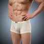 Men Sexy ultrathin Transparent Boxer Nylon Ice Silk Underwear Shorts Exotic Boxers JQK #309