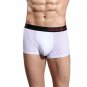 Mens Underwear Sexy Mesh Breathable Underpants BK L
