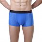 Mens Underwear Sexy Mesh Breathable Underpants BK L