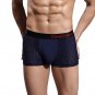 Mens Underwear Sexy Mesh Breathable Underpants BK L