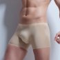 2017 Mens Underwear Boxers Nylon Sexy Transparent Seemless Underwear Penis Pouch Cueca Boxer Shorts