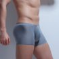 2017 Mens Underwear Boxers Nylon Sexy Transparent Seemless Underwear Penis Pouch Cueca Boxer Shorts