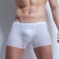 2017 Mens Underwear Boxers Nylon Sexy Transparent Seemless Underwear Penis Pouch Cueca Boxer Shorts
