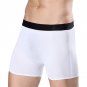 2017 Summer One peice Men Underwear Sexy Ice Silk Seemless Boxer Shorts Mens Nylon Underwear Cueca b