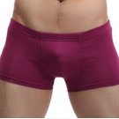 New Arrival Men\'s Clothing Underwears Boxers Shorts Casual Underpan Men Modal Boxer Male Cuecas Mas