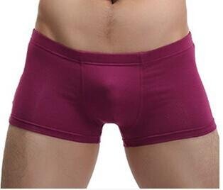 New Arrival Men\'s Clothing Underwears Boxers Shorts Casual Underpan Men Modal Boxer Male Cuecas Mas