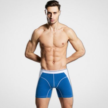 Mens underwear boxers long men\'s boxer cotton men underwear homme boxershorts underpants man length