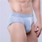 Briefs Men Underwear Mesh Solid Big Size Modal Panties Black High Quality Natural Breathable Male Un