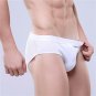 Briefs Men Underwear Mesh Solid Big Size Modal Panties Black High Quality Natural Breathable Male Un