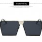 Steampunk Square Sunglasses