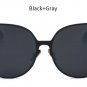 New Oversized Cat Eye Mirrored Sunglasses Women Fashion Shades Cateye Sun glasses