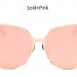 New Oversized Cat Eye Mirrored Sunglasses Women Fashion Shades Cateye Sun glasses