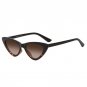 Winla Fashion Design Cat Eye Sunglasses Women Sun Glasses Mirror Gradient Lens Retro Gafas Eyewear O