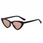 Winla Fashion Design Cat Eye Sunglasses Women Sun Glasses Mirror Gradient Lens Retro Gafas Eyewear O