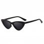 Winla Fashion Design Cat Eye Sunglasses Women Sun Glasses Mirror Gradient Lens Retro Gafas Eyewear O