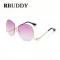 RBUDDY Sunglasses Women Oversize Brand Designer 2017 Big Size Female Clear Lens glasses Transparent