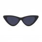OFIR Sexy Cat Eye Sunglasses 2018 New Fashion Triangle Small Size Modern Retro Designer Women Sun Gl