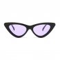 OFIR Sexy Cat Eye Sunglasses 2018 New Fashion Triangle Small Size Modern Retro Designer Women Sun Gl