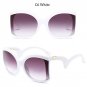 Luxury Brown Brand Designer Women Cat Eye Sunglasses Lady Curved Legs Fashion Retro Sun Glasses For 