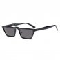 MOLNIYA 2018 Triangle Small Cat Eye Sunglasses Sexy Women Film Lens Cateye Frame Black Red Tint Sun 