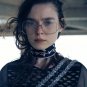 DOLCE VISION 2018 Oval Ladies Sunglasses Fashion Designer Brand Shades Female Oversized Frame Pink M