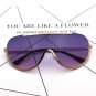 Oversized Women Hip Hop Sunglasses Brand Designer UV400 2017 New Big Size transparent lens Eyeglasse