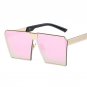 2017 New Big Frame Flat Top Women Sunglasses Fashion Brand Designer Oversized Clear Sun Glasses Men