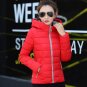 2017 candy color hooded winter women basic jacket cotton padded casaco feminino womens slim short ou