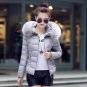 2017 high quality women winter big fur hooded collar coat female outerwear ladies warm short basic j
