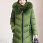Plus size Winter Jacket New Style Women Down Cotton Overcoat Thick Warm Coat Elegant Slim Hooded Fur