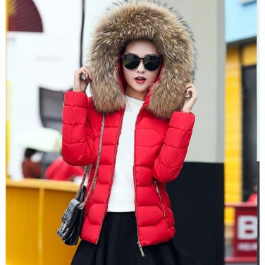 2017 Winter Jacket Coat New Women Heavy thick woolen collar Parka overcoat short coat Jacket girls s