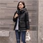 Plus size 5XL Short Winter Jacket Female Down Cotton Parkas 2017 New Hooded Coats Thick Warm Loose W