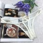 Solid Sexy Lingerie Women Underwear Lace G strings thongs Women Underwear Panties Ropa Bragas Tangas