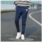 FAVOCENT New spring and summer 2017 men\'s casual pants Japanese tide male Shi Halun pants bundle fe