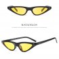 Unisex Flat Top Small Triangle Cat Eye Sunglasses Women Fashion Color Lenses Cateye Sun Glasses For