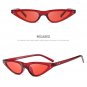 Unisex Flat Top Small Triangle Cat Eye Sunglasses Women Fashion Color Lenses Cateye Sun Glasses For