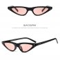 Unisex Flat Top Small Triangle Cat Eye Sunglasses Women Fashion Color Lenses Cateye Sun Glasses For