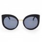 Fashion Women Oversize Cat Eye Glasses Brand Design Vintage Sun glasses Round Coating gafas so real