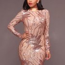 Open Back Sequins See-Through Women\'s Bodycon Dress