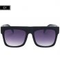 Designer Sunglasses Women Flat Top Sun glasses Acetate Frames ss817