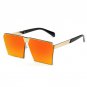 New Color Women Sunglasses Unique Oversize Shield Glasses ss953
