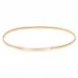 2017 New Fashion Elastic Metal hook Buckle Belts for Women Dress Accessories Retro Waistband Golden 