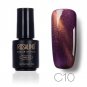 ROSALIND Hot 7ML Cat Eyes Finish Gel Polish Soak-off UV LED Nail Gel Polish Magnetic quick dry Top C