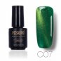 Roslind 1 Pcs 10 colors 7 ml Cat Eye Nail Gel Polish UV LED Gel Polish Varnish Quick Dry Top Coat Re