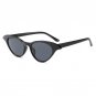 New Cat Eye Sunglasses Women Fishion Luxury Cute Sun Glasses Retro Small Red Sunglass For Ladies Bra