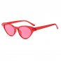 New Cat Eye Sunglasses Women Fishion Luxury Cute Sun Glasses Retro Small Red Sunglass For Ladies Bra