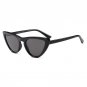 Cat Eye Women Sunglasses new style Summer Hot Sale Fashion Lady Sun Glasses For Men Vintage Designer