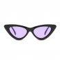 High Quality Small Cat Eye Sunglasses Women Brand Designer Retro Sunglass Female Sun Glasses For Wom